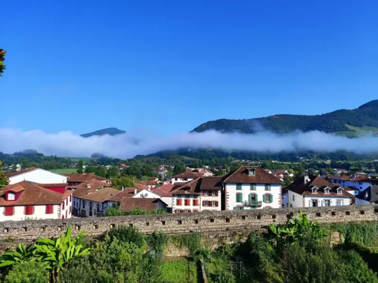 Village aux toits rouges et collines brumeuses
