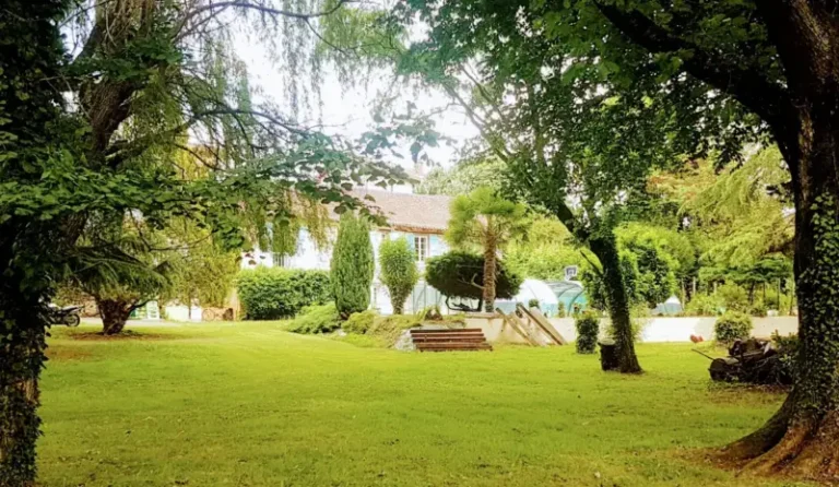 Grand jardin verdoyant avec maison et arbres