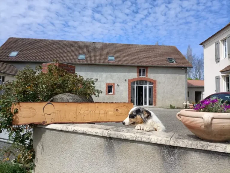 Chien allongé devant maison de campagne