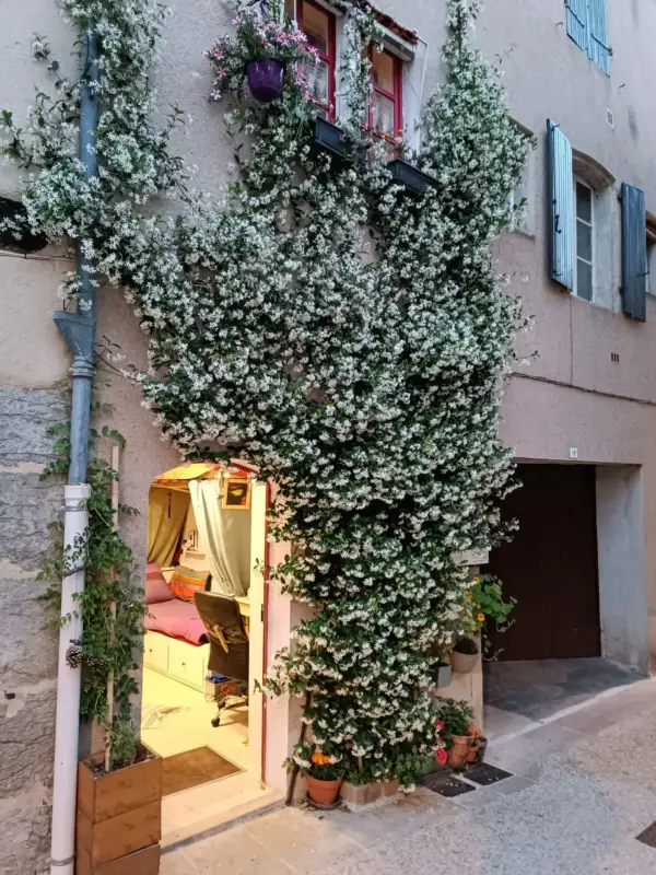 Façade fleurie avec porte ouverte et volets bleus