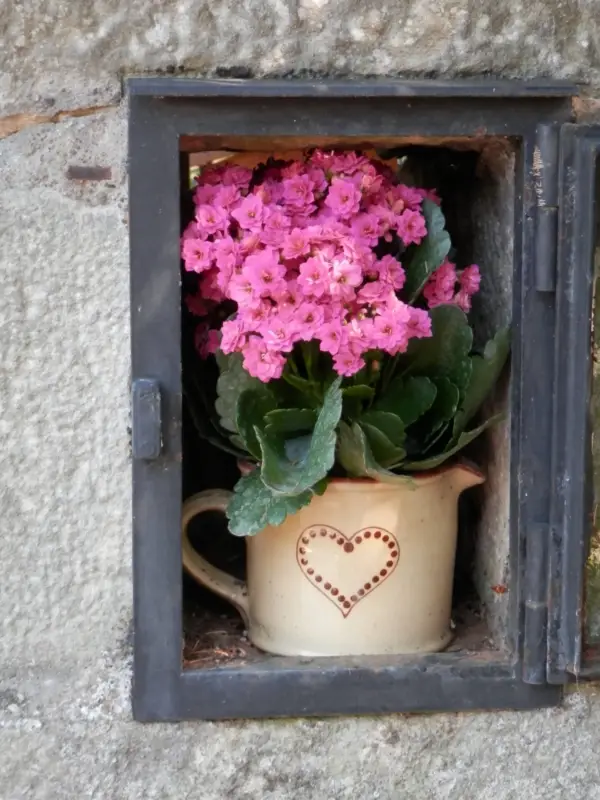 Fleurs roses dans une cruche au cœur décoratif