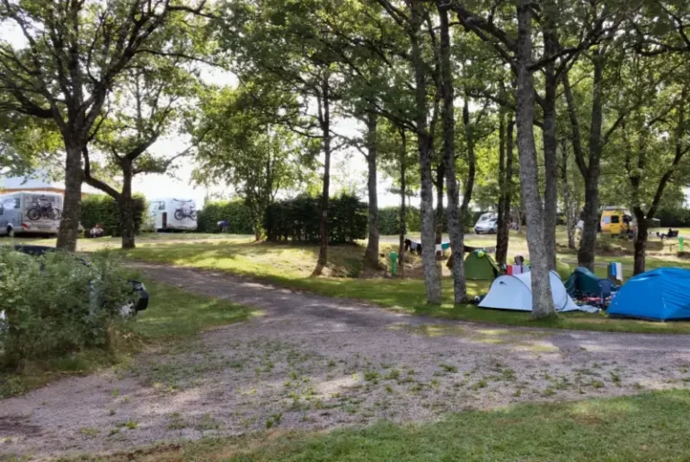 Camping ombragé avec tentes et camping-cars
