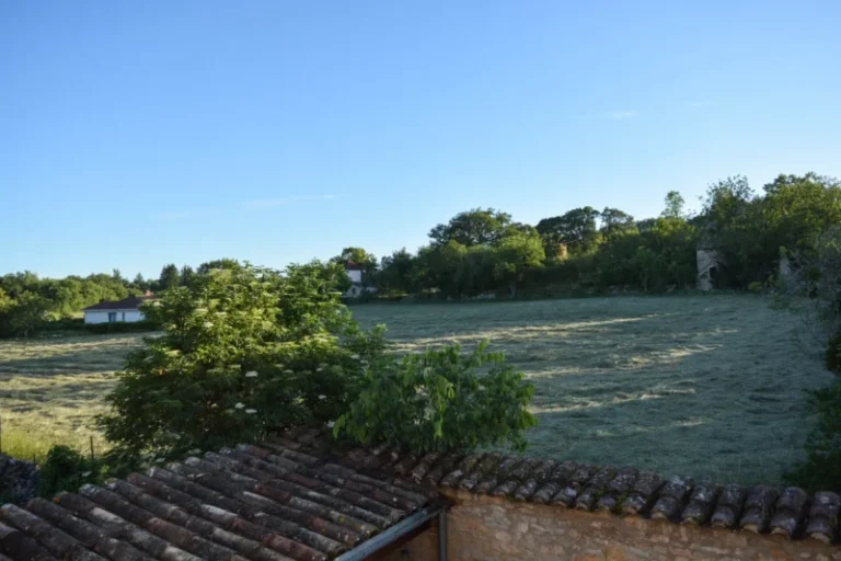 Champ verdoyant et toit en tuiles au soleil