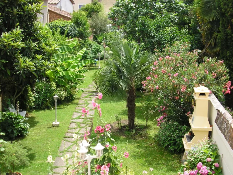 Jardin verdoyant avec allée en pierre et palmiers